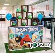 Энгри бёрдз (angry birds). Аренда активных игр Брест.